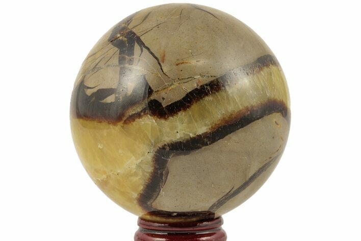 Polished Septarian Sphere - Madagascar #203649